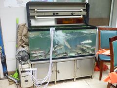 -长顺河豚馆(江洲东路)