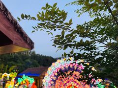 -黄龙溪欢乐田园