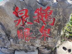 -靖西鹅泉风景区