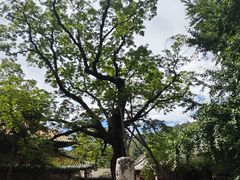 -潭柘寺景区