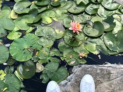 -春风习习
