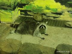 -大连圣亚海洋世界