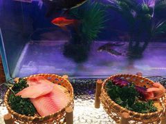 -西安高新希尔顿酒店·咖啡露台西餐厅