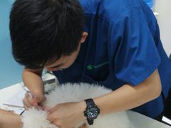 -瑞派宠物医院(搏威敦和院)