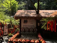 -刘伯温故里景区百丈漈