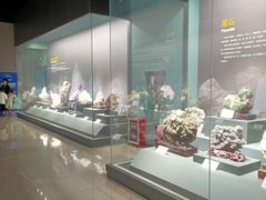 -湖南省地质博物馆