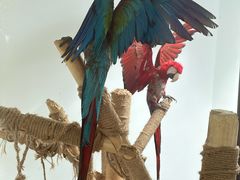 -青藏高原野生动物园