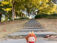 -泰州凤城河风景区-泰山公园