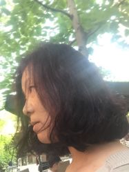 -大象造型