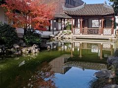 -秋霞圃