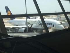 德国汉莎航空-德国汉莎航空公司