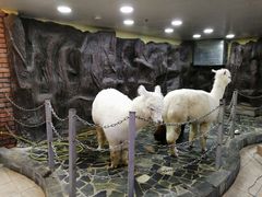 -上海大自然野生昆虫馆(东方明珠·爬宠昆虫探索中心)