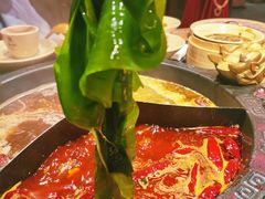 -蜀大侠火锅(森兰花园城店)