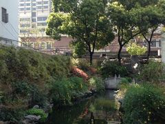 iphone_upload_pic-贝轩大公馆