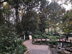 -成都市活水公园