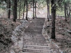 -北京凤凰岭