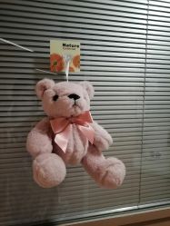 -杭州贝瑞斯美华妇儿医院·早孕·产检·儿科