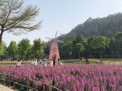-顺峰山公园