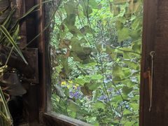 -斯多格书乡(北京大学畅春园店)