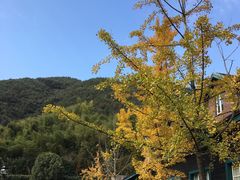 -梦娜斯庄园