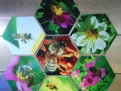 -上海昆虫博物馆