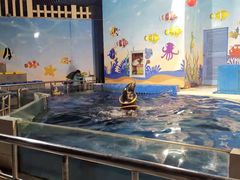 -太平洋海底世界