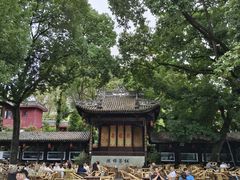 -铁像寺水街