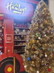 点击看大图 -Hamleys哈姆雷斯(东方福来德店)