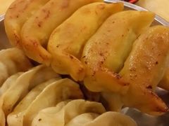 锅饺-向群锅饺(登高路店)