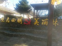 -四明山国家森林公园