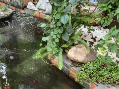-吃货私房菜(丽江束河古镇店)