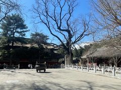 -潭柘寺景区