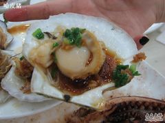 来张近照-海岛渔村大酒店(云霄路店)
