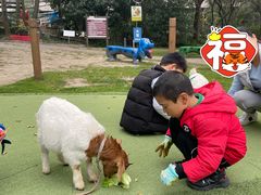-上海佘山世茂艾美酒店
