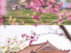 -锄山村