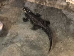 -蓬莱欧乐堡海洋极地世界