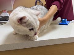 -瑞派康怡24h宠物医院·犬猫医疗中心·微创绝育(瑞景分院)