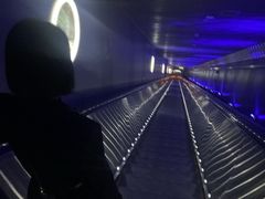 -白鹤梁水下博物馆