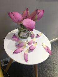 -Daisy Beauty lab日式美甲美睫
