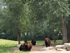 -北京野生动物园