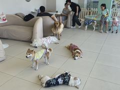 -怪兽屋·羊驼·猫咖·狗咖(俊华广场店)