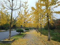 -浙江农林大学(东湖校区)