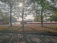 -东莞植物园