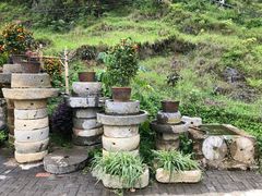 -靖西鹅泉风景区