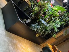 -森味薪火烧•烧鸟居酒屋•日本料理(望京店)