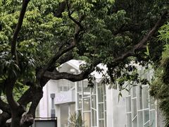-四海公园(南山区)