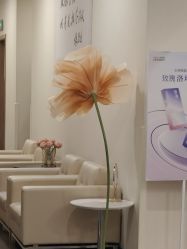 -上海玫瑰医疗美容医院