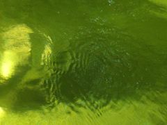 -海口观澜湖火山温泉谷