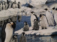 -帝企鹅自助餐厅•儿童岛•真企鹅(长隆企鹅酒店)