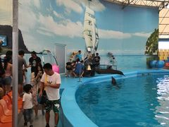 -尼莫海豚馆